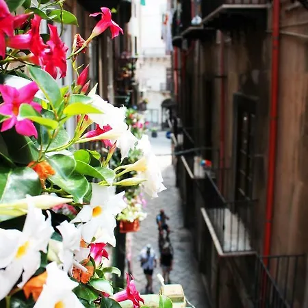 Palazzo Delle Logge 4*