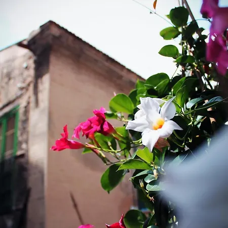 Bed & Breakfast Palazzo Delle Logge